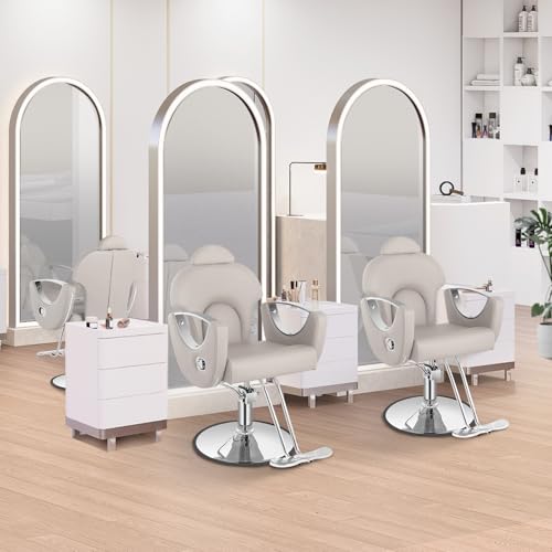 Barber Salon Chair for Hair Stylist Beauty Reclining Salon Chair 360 Degrees Swivel Adjustable Height Styling Armchair for Spa Home Barbershop Shampoo (Grey&Sliver)