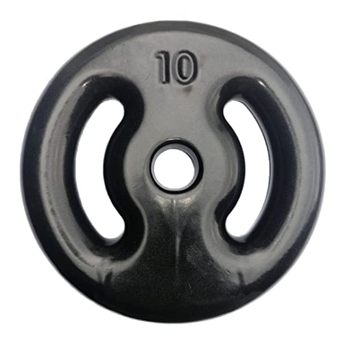 Kit Com 02 Anilhas Emborrachadas De 10kg