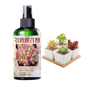 Generisch Sukkulenten-Nährende Essenz Pflanzendünger