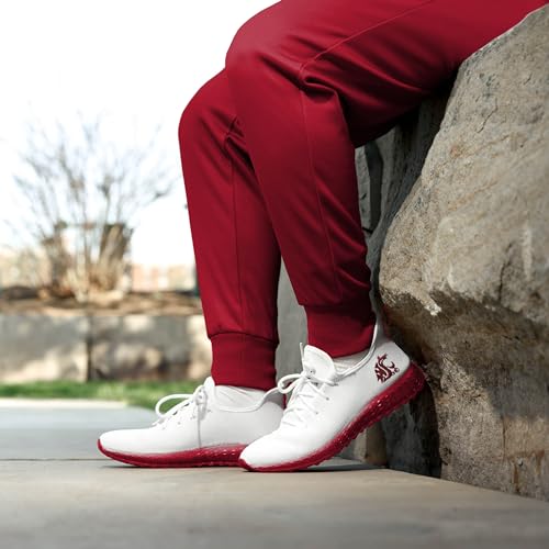 Image of FOCO NCAA Mens NCAA College Team Logo Athletic Shoes Sneakers