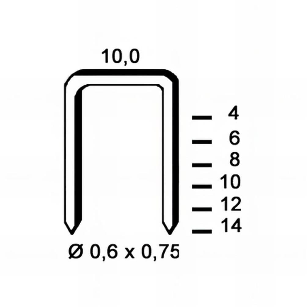 5.000 Grapas Em-40 – Galvanizadas Resinadas – 5,2 x 40 x 1 mm – D-Work