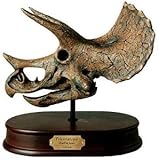 Model, Triceratops Skull
