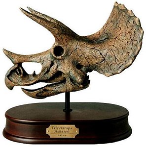 Model, Triceratops Skull