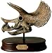 Model, Triceratops Skull