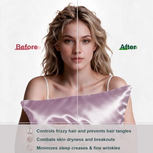 Image of LYSHIN Silk Pillow Cases 2 Pack Queen Size with Zipper, Lavender | 19 Momme Mulberry Silk Pillowcase for Skin and Hair, Anti-Acne, Hypoallergenic, Cooling, Beauty Sleep, Gifts for Women