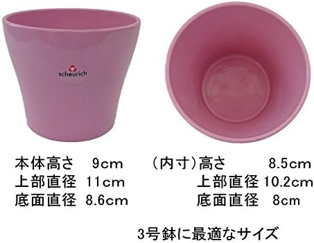 Amazon シューリッヒ 鉢カバー 808 Rose ローズ 3号鉢用 11cm 鉢 プランターカバー