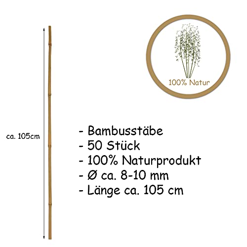 Bambusstäbe Bigdean 50 Stück 105 cm Pflanzstab aus Bambus