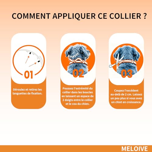 Meloive Collier Antipuces et Anti-tiques pour Chiens, 2 Pièces – vue 8