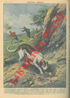 Il cane che salva il padroncino