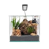 Inhalt 15 Liter Amtra Technik Nanotank System 15 LED Aquarium Komplettaquarium Innenfilter Beleuchtung Abdeckung Glasbecken Nano