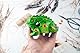 Frosch Guiro 10,2 cm Holzblock Musikinstrument Percussion Musikinstrument Perfekte Größe Naturholz Güiro Frosch (Grün)