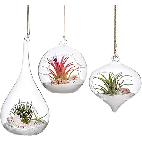 Mkono 3 Pack Glass Hanging Planter Terrariums Cover