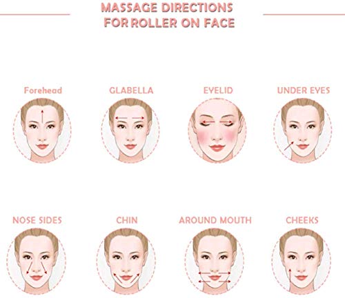 RadBizz Derma Roller and Storage Case - 0.25mm