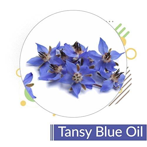 Image of Crysalis Tansy Blue Oil | Pure & Organic Essential Oil - 15ml Dropper