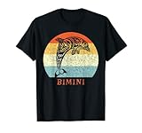 Photo Gallery bimini, bahamas vintage retrò delfino vacanza maglietta Photo Gallery bimini, bahamas vintage retrò delfino vacanza maglietta