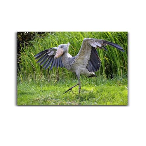 Spring Forest Nature Wild Bird Shoebill Stork Shoebill Stork Posters