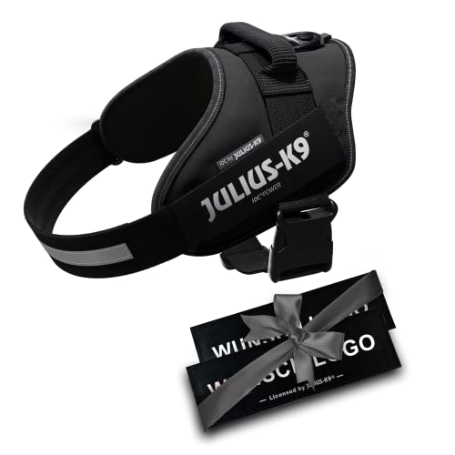 JULIUS K-9 IDC Powergeschirre Anthrazitgrau mit individuelle Klettaufschriften Bundle optionale Größe Kleine mittelgroße und große Hunde 16IDC+CUSTOMP-ANT