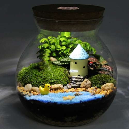 Minkissy 2 StüCk Flaschengarten Glas Terrarium Glasflasche MikrolandschaftsbehäLter Aus Borosilikatglas Pflanzen Terrarium Goldfischglas