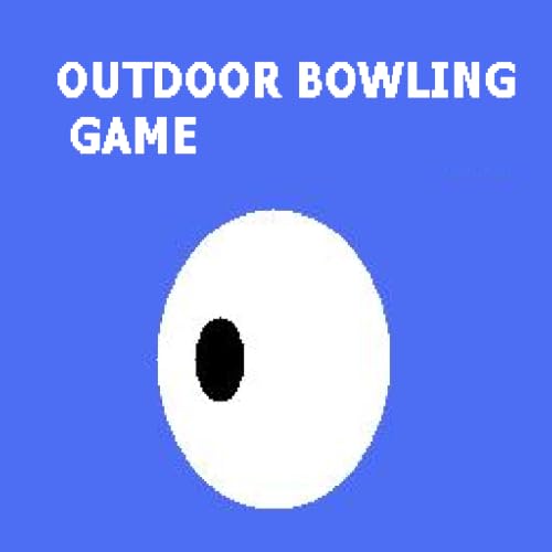 Outdoor Bowling Game