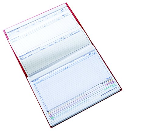Document Folder with Tabs and Transparent Pocket (Red)