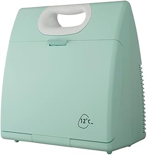 Portable Beauty Refrigerator 4.5L Mini Fridge Mute Constant Temperature Makeup Fridge for Skincare & Cosmetics, for Women and Girls,Green