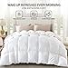 Globon Winter White Goose Down Comforter King Size,Down Duvet Insert, 800 Fill Power, 420 Thread Count,Ultra Soft Noiseless Shell with Corner Tabs, White