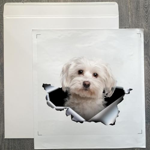 Image of Cute Dog Stickers for Car Window Decals Waterproof Funny Sticker (Maltese Car Sticker)
