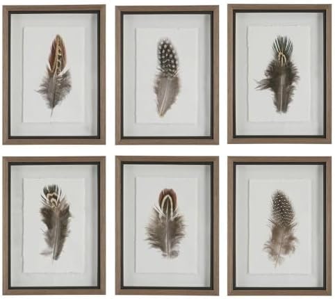 Birds Of A Feather - Framed Wall Decor (Set of 6) - 20 Inches Tall and 15 Inches Wide