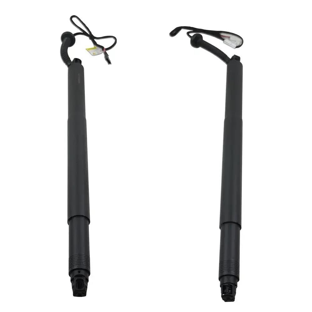 Ressorts à gaz pour hayon de BMW X6 F16 OEM 51247318651