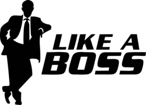 Like a Boss Facebook Japanese JDM Vinyl Graphic Car Truck Windows Decal Sticker - Die cut vinyl decal for windows, cars, trucks, tool boxes, laptops, MacBook - virtually any hard, smooth surface