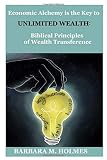 Economic Alchemy is the Key to Unlimited Wealth:: Biblical Principles of Wealth Transference (The Great Reset Series)
