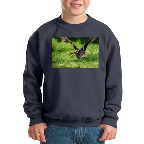 Sweatshirt chouette en vol enfant pull aux finitions soignées