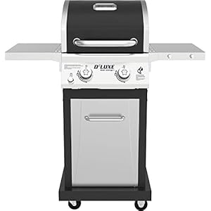 Nexgrill 720-0864RA Premium 2 Burner Propane Barbecue Gas Grill, Outdoor Cooking, Patio, Garden Barbecue Grill, 28000 BTUs, Foldable Side Table, with Full Stainless Steel Control panel