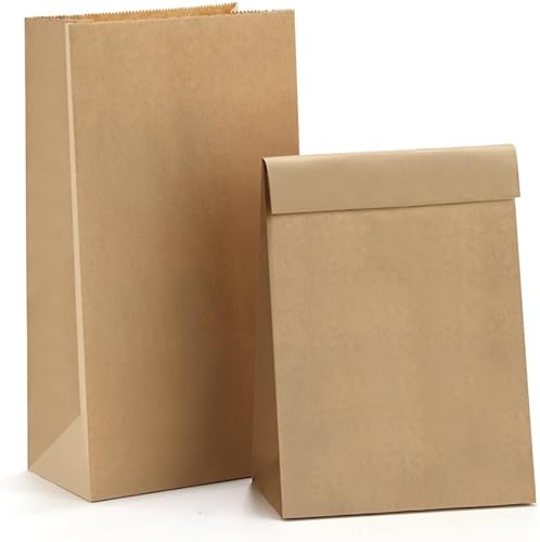 BagDream Bolsas de almuerzo de papel de 4 libras, 100 bolsas de aperitivos, bolsas de manualidades, bolsas de pan, bolsas de almuerzo a granel de 5