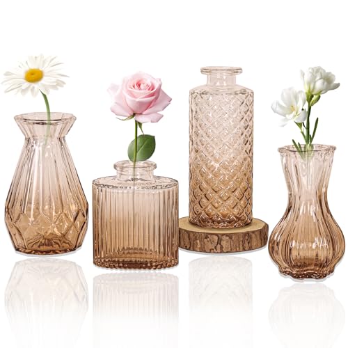 Set of 4 Glass Bud Vase Set, Small Vintage Clear Flower Vase Centerpieces for Table Bulk Cute Rustic Style Mini Vase for Home Decor Wedding Baby Shower Birthday Party(Ombre Amber)