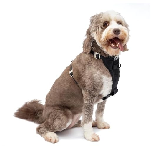 Kurgo Tru-Fit Hundegeschirr, Crash-Test-erprobtes Auto-Sicherheitsgurt, Für Hunde von 23 bis 36 kg, Größe L, Schwarz