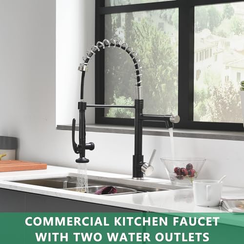 Image of Fapully Pull Down Kitchen Faucet with Sprayer Commercial