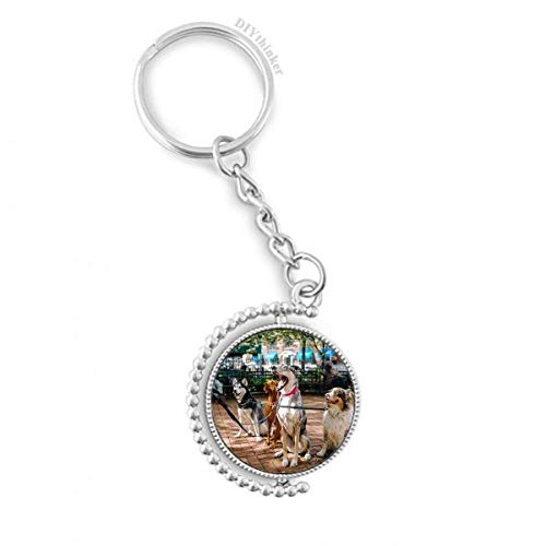 Porte-clés rotatif photo chiens pet animaux 1,2x3,5 pouces multicolore