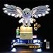 Produktbild SWDZ LED-Beleuchtungsset für Lego HP Hedwig 76391, Dekorationslichter-Set für Lego 76391 (Nicht inklusive Lego Modell)