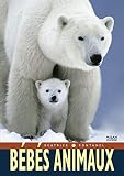 Bébés animaux