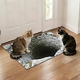 voofly 3D Optical Illusion Bath Mat Quick-Dry Absorbent Bathroom Rug Non-Slip Ultra-Thin, Machine Washable 36x24in, Deep Well