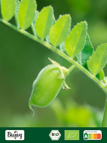 Biojoy BIO-Kichererbsen (2,5 kg), getrocknet und ganz, ungeröstet