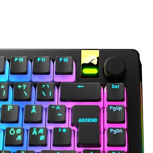 Capuchons Pudding Glorious Translucides en PBT Doubleshot pour Customisation