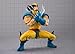 TAMASHII NATIONS - Marvel - Wolverine (GAMERVERSE) S.H.Figuarts Action Figure