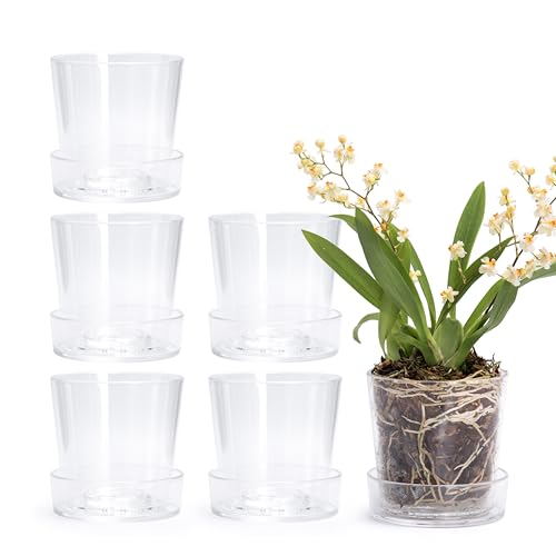 Phoenix Vine 3.5 Inch Clear Acrylic Planter Pot with Tray, Orchid Pot with Drainage Holes, Deep Saucer for Bottom Watering, Transparent Containers for Indoor Plants, Herbs, Set of 6, 91-A-D-6