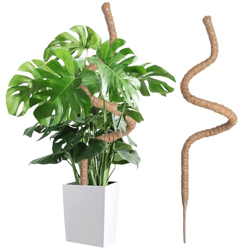 Wigearss Moosstab für Monstera, Kokosfaser Rankhilfe, Pflanzstab Kokos, Pflanzenstütze für Kletterpflanzen, 120cm
