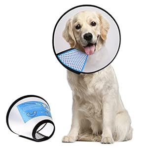 Supet Conos de Recuperación para Mascotas, Collarines para Curar Heridas, Collar Isabelino para Perros y Gatos L(Cuello : 30-34 cm)