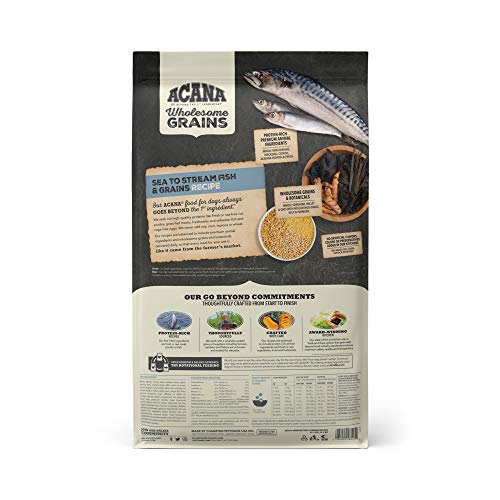 Acana Wholesome Grains Dry Dog Food, Sea To Stream, Saltwater And Freshwater Fish & Grains Recipe, 22.5Lb #TOP1