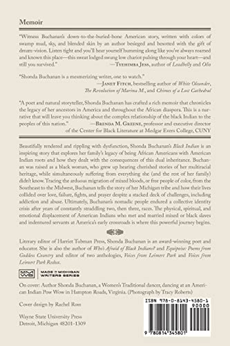 Black Indian (Made in Michigan Writer Series) - Image 2