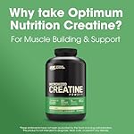 Optimum Nutrition Micronized Creatine Monohydrate Powder, Unflavored, 120 Servings, 600 Grams (Packaging May Vary) - Image 2